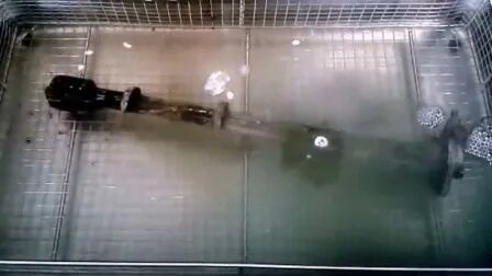 Máy sưởi kỹ thuật số Đặt giờ Stainless Công nghiệp Chiếc xe phụ tùng siêu âm Tẩy rửa Jp-480st