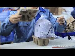 Thiết bị làm sạch siêu âm 750ml CD trang sức cầm tay Trái cây Mini 35W JP-900S